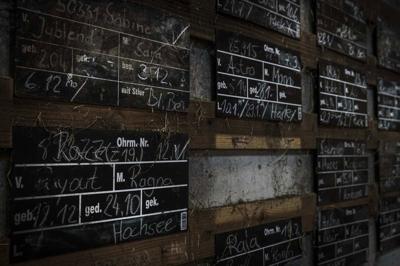 Allgäu Stall Weh 073