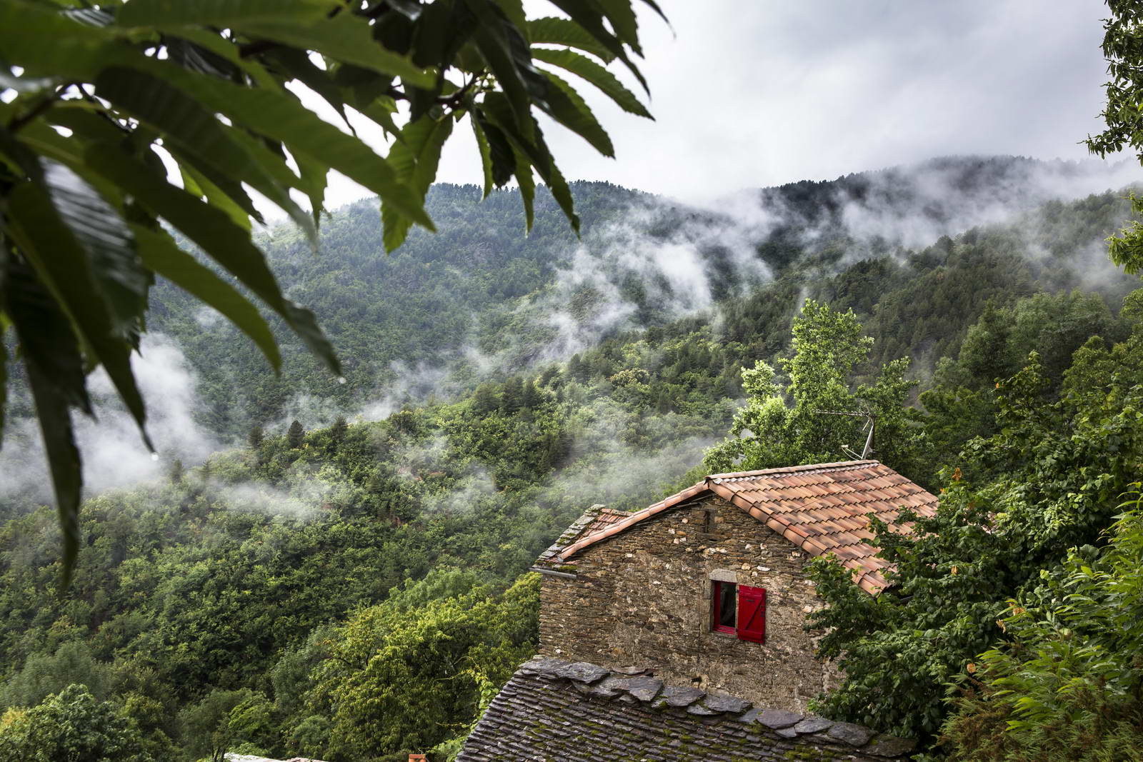 Cevennen, Frankreich 006