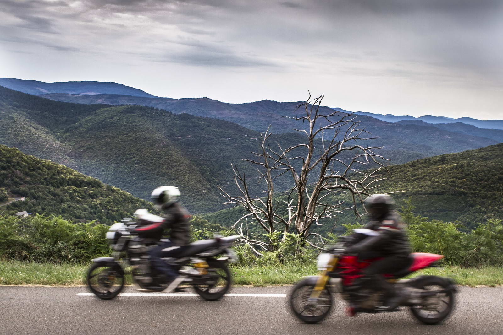 Cevennen, Frankreich 026