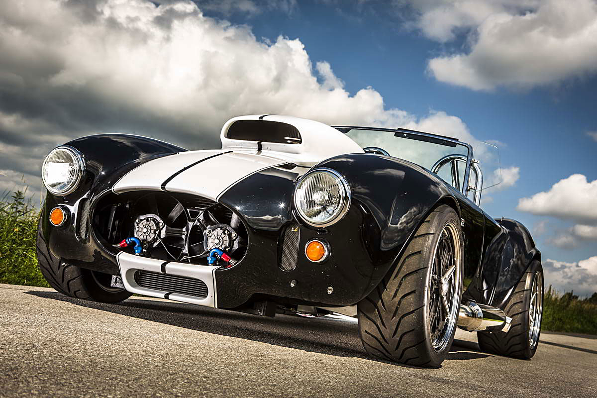 Cobra Weineck  V2C7991