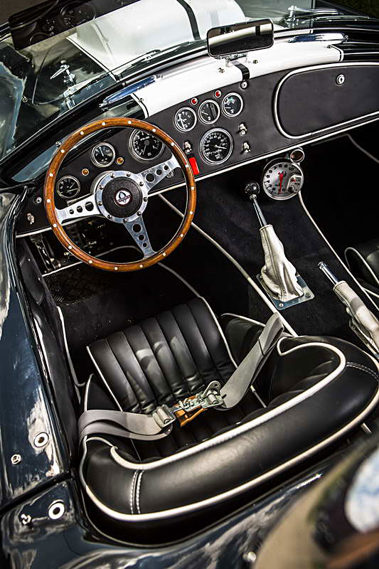 Cobra Weineck  V2C8083