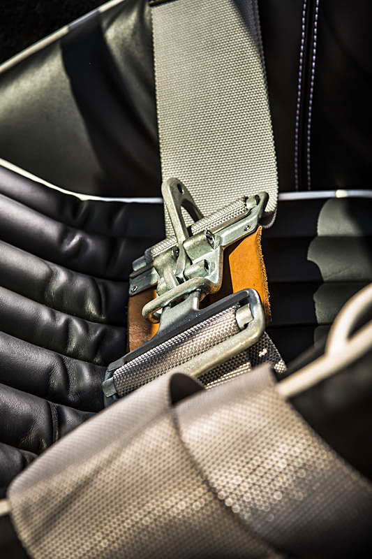 Cobra Weineck  V2C8095