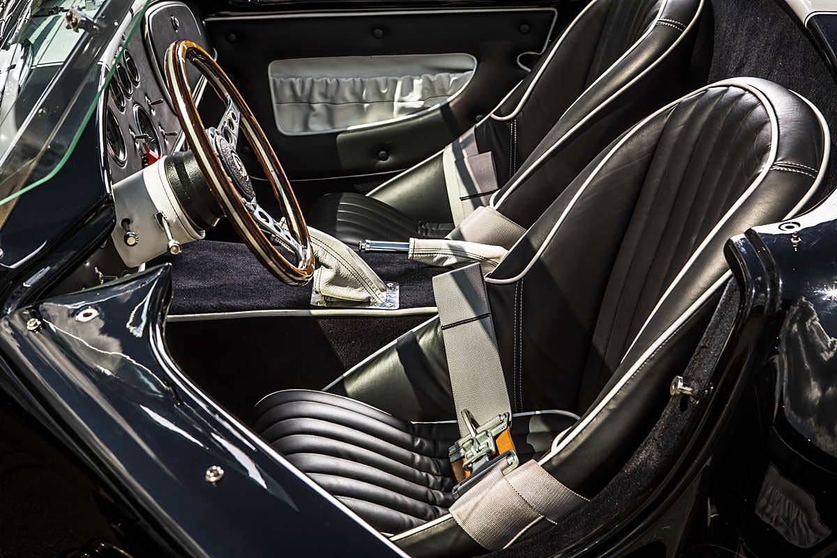 Cobra Weineck  V2C8097