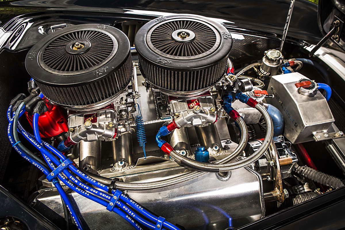 Cobra Weineck  V2C8206