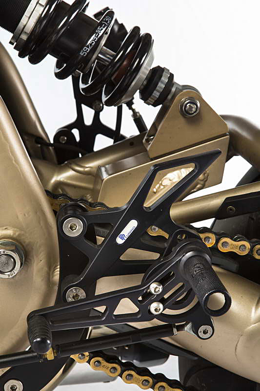 Custom Wolf Martin 018