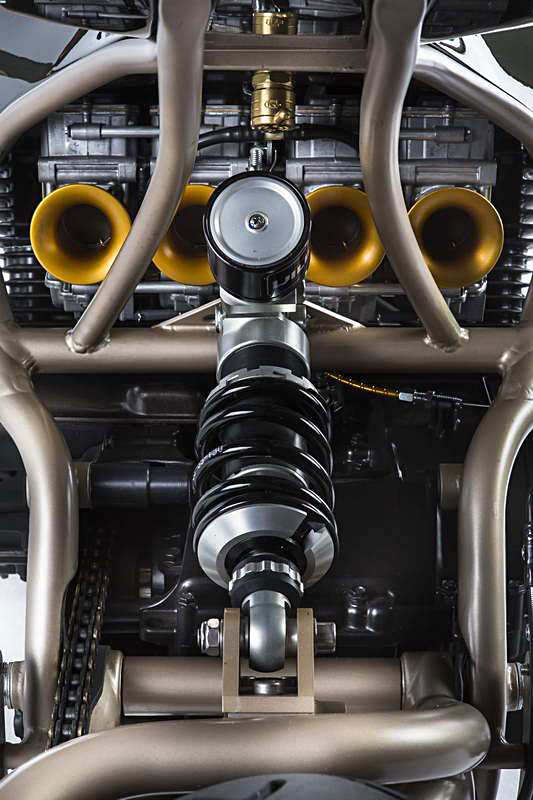 Custom Wolf Martin 024